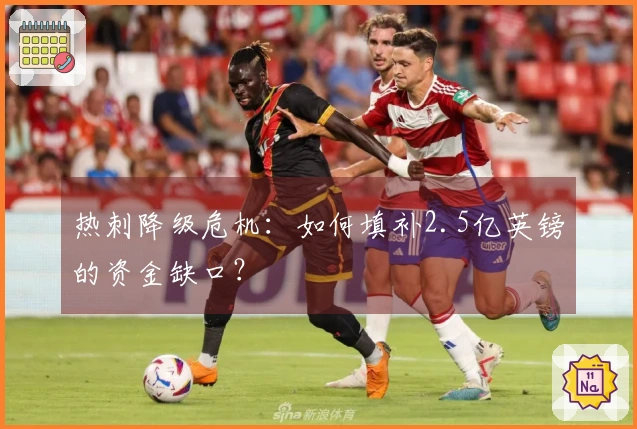 热刺降级危机：如何填补2.5亿英镑的资金缺口？