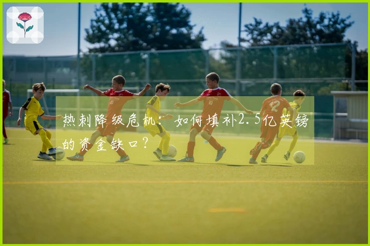 热刺降级危机：如何填补2.5亿英镑的资金缺口？